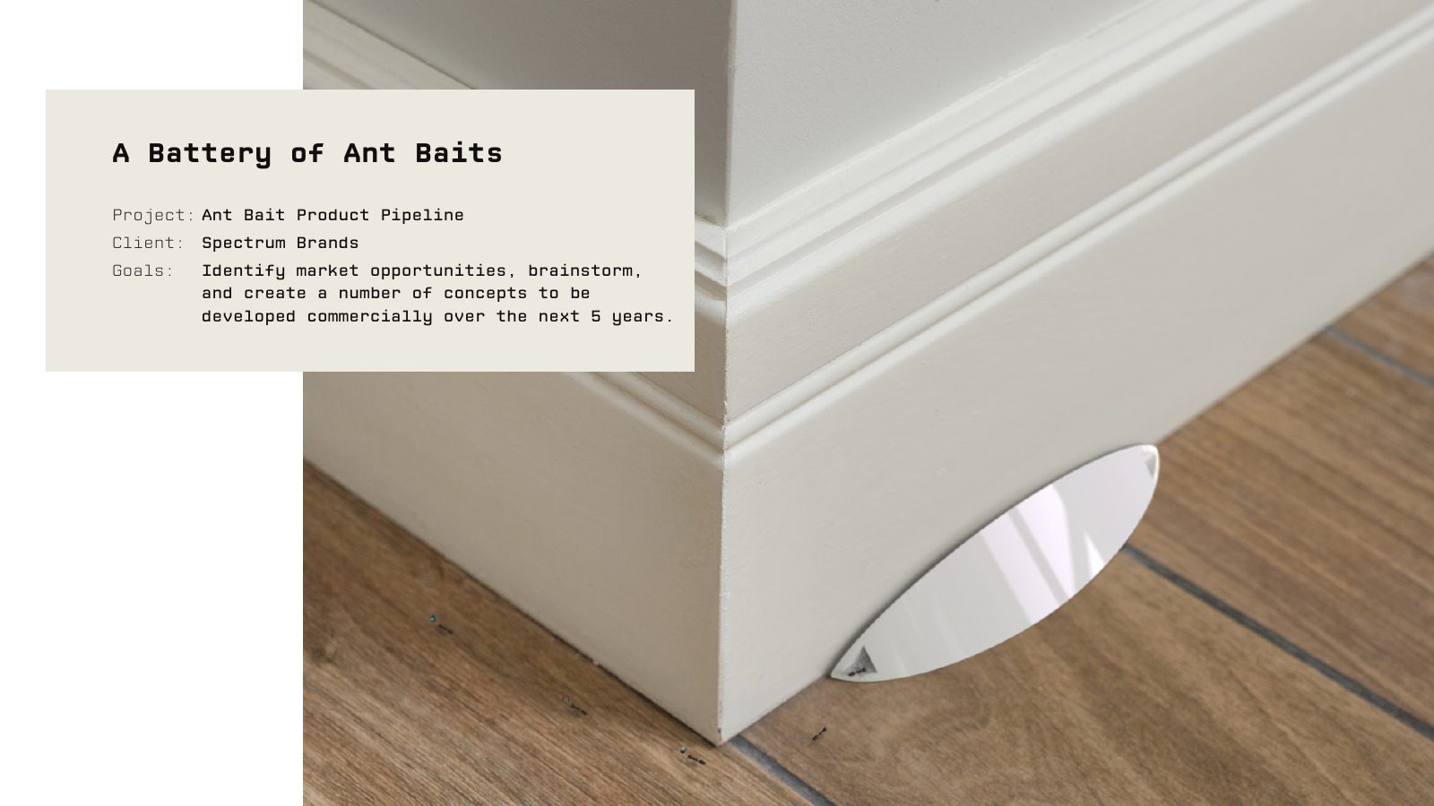 Ant bait pipeline — Spectrum Brands