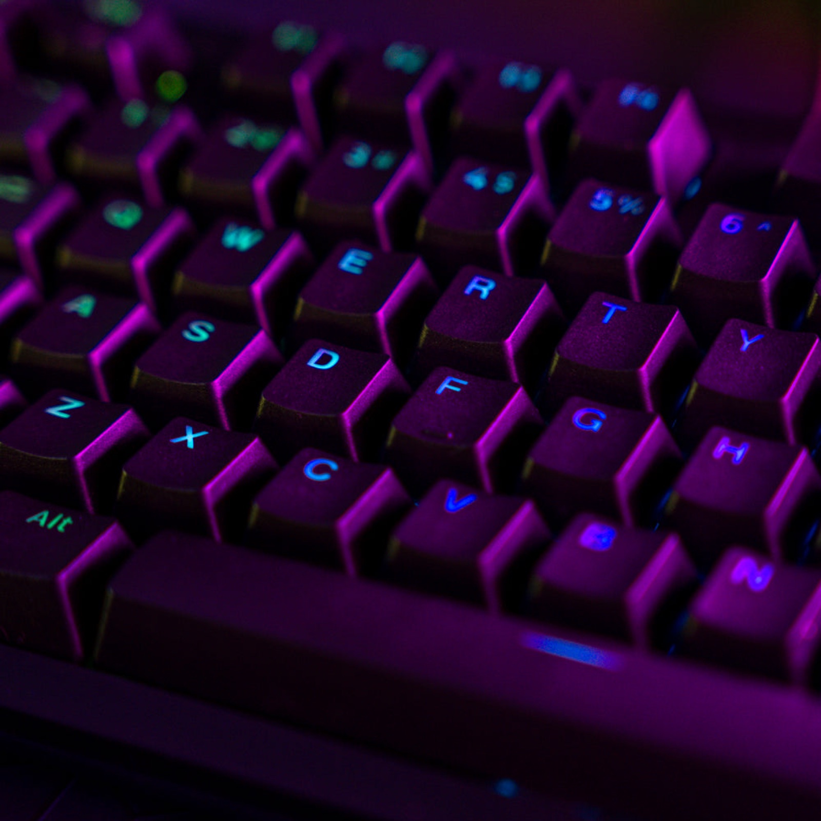 Daybreak bundle, black